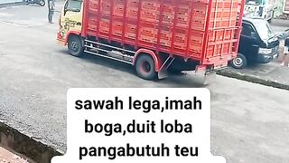 ayam broiler || kata kata lucu 252