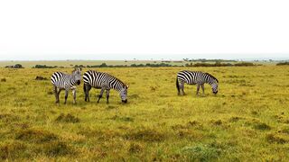 "African Elegance: Captivating Landscapes and Cultures"