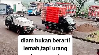 ayam broiler || kata kata lucu 255