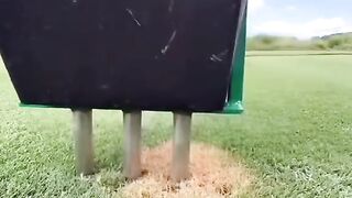 Satisfying lawn cutting video |asmr |amazing video