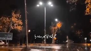 Meri dunia