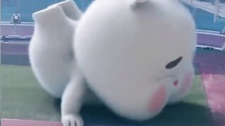 Super cute and adorable little fat rabbit ???? great