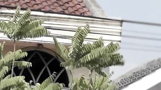 Video Ama
