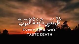 Razzaq5-Beautiful video-Haert Touching video- Quran verses - Short video - video 144p..
