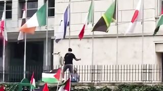 free palestine 8