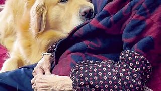 #Loyal_dog_sign_of_loyalty