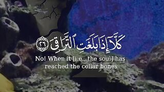 القرآن الكريم 29
