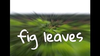 Fig leaves