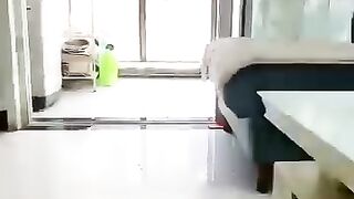 Money stealing bird