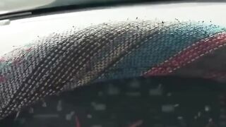 The end ???????????? 37