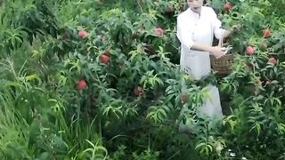 PEACH SEASON