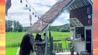 Dah lah