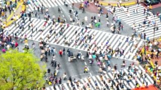 Shibuya Crossing