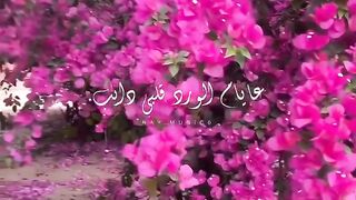كيف كنا كان العمر طايب