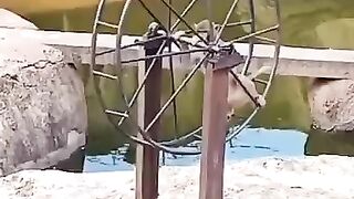wahooo