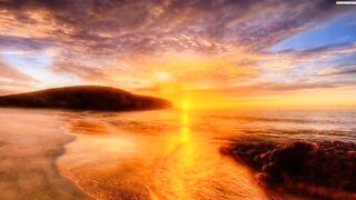 Beautiful sunsets