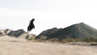 Best scen hollywood movie