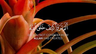 Quran Surah #Quran #surah #