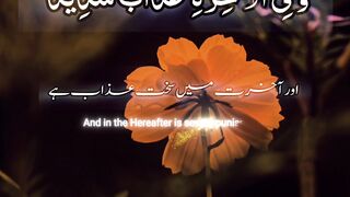 Quran Al Kareem #Quran #surah #