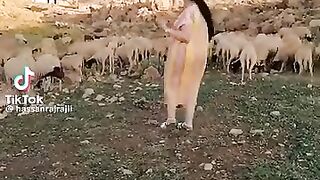 Outaleb lamzoudi