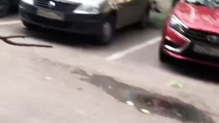 Pops trying the super man thing on a speeding bike