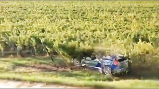 The driver just lose control and kept going