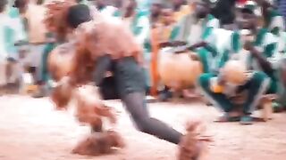 La  bravoure des senoufo