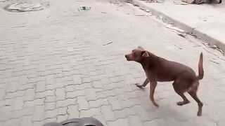 What the hell?? 2
