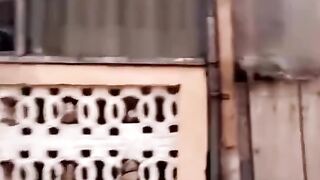 Mode ????
