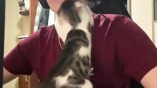 A cat that disturbs its owner
