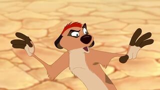 ????????????????????????le roi lion