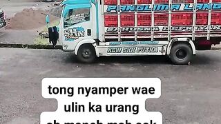 ayam broiler || kata kata lucu 260