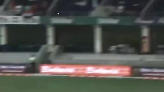 Cricket ???????????? lovers ☺️???????? video