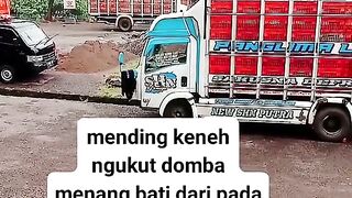 ayam broiler || kata kata lucu 261