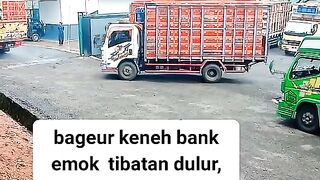 ayam broiler || kata kata lucu 262