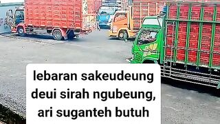 ayam broiler || kata kata lucu 263
