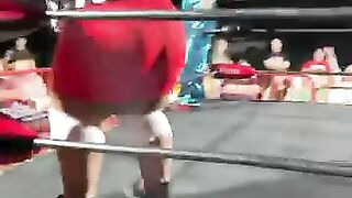 Micro Wrestling goes HARD