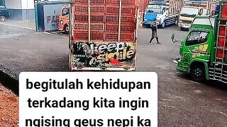 ayam broiler || kata kata lucu 264