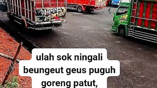 ayam broiler || kata kata lucu 266