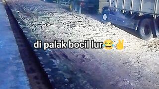 ayam broiler || kata kata lucu 268