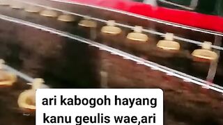 ayam broiler || kata kata lucu 269