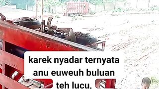 ayam broiler || kata kata lucu 271