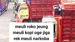 ayam broiler || kata kata lucu 272