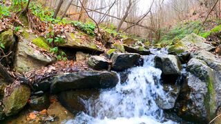 NATURE 3214