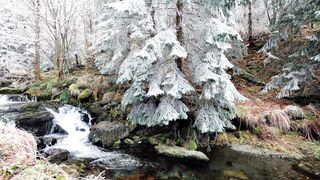 NATURE 3216