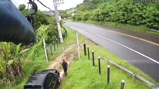 Hitman gone wrong