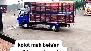 ayam broiler || kata kata lucu 273
