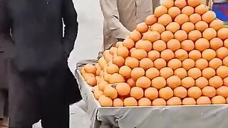 funny video 504