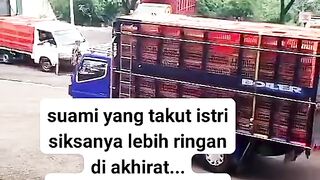 ayam broiler || kata kata lucu 274