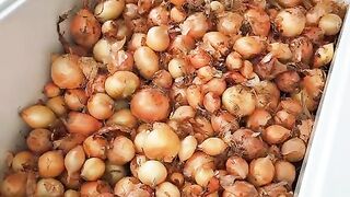 Everything tastes better with onions ???? Everything smells better with dr scent ???? - Worldwide #onions #TikTokCookBook